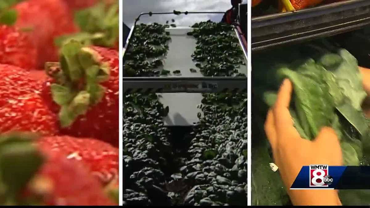 Strawberries, spinach top 'Dirty Dozen' list
