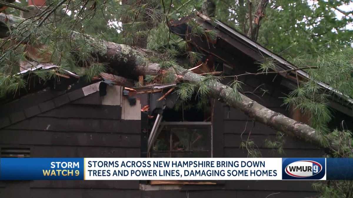 Storms bring down trees and power lines across New Hampshire