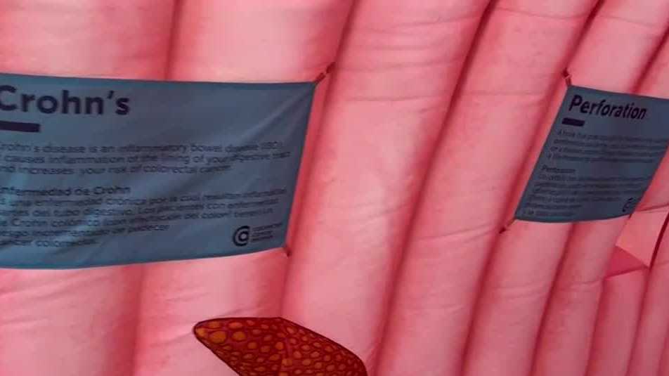 June is Men's Health Awareness Month