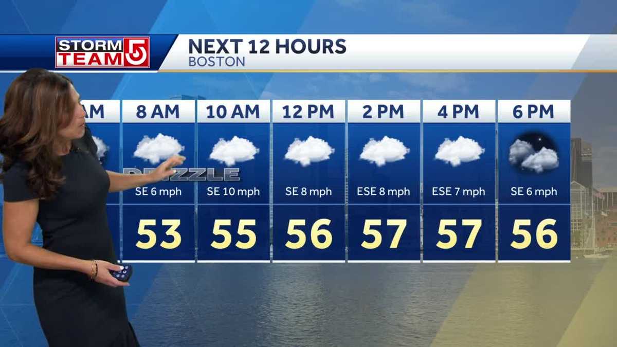 Video: Damp weather throughout the morning