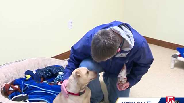 Chuckie the dog finally goes home after 200 days in shelter - Vimarsana News