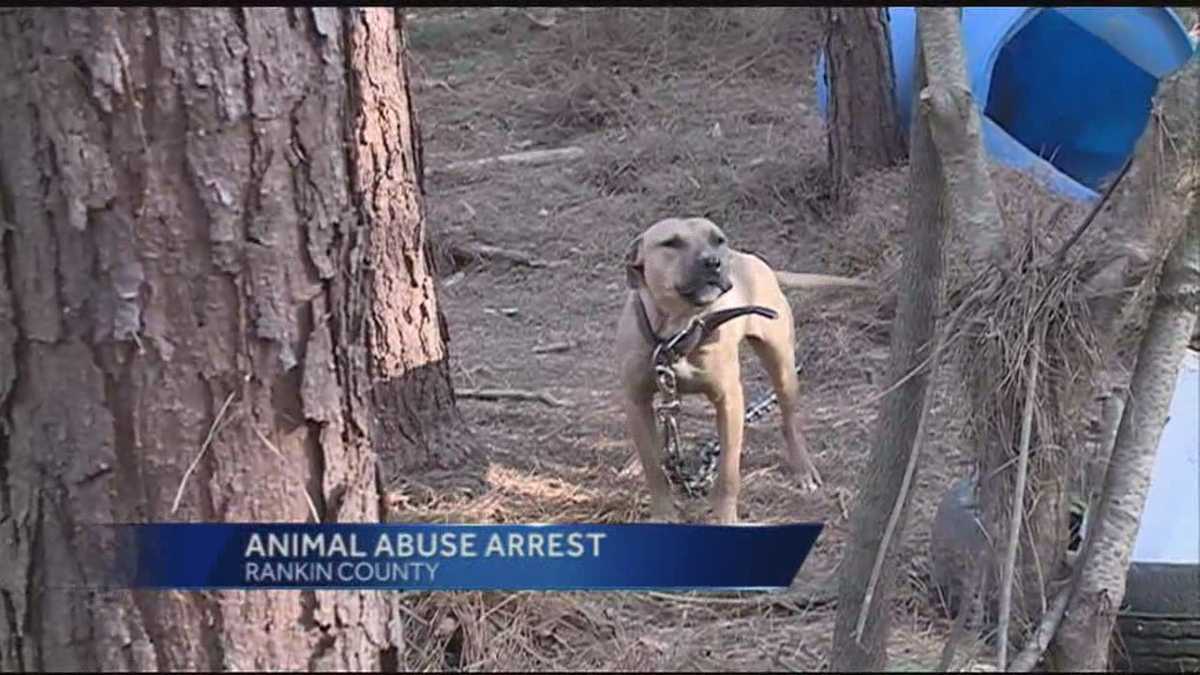 Rankin County Dog Rescue