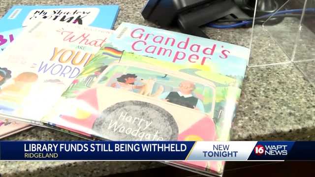 City of Ridgeland looks to enter into a new contract with library - Vimarsana News