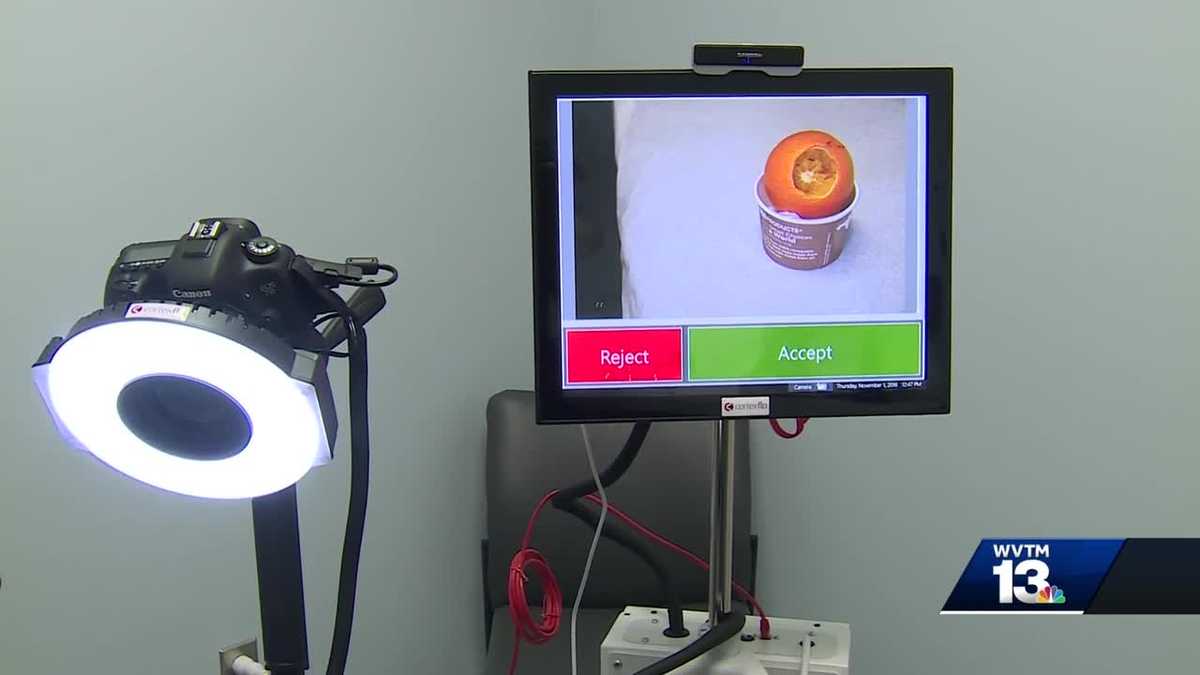 Tuscaloosa SAFE Center helps victims of sexual assault