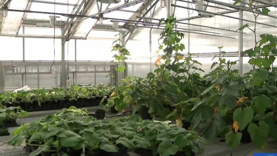 Grow it Green: 2026 UNH Greenhouse Open House