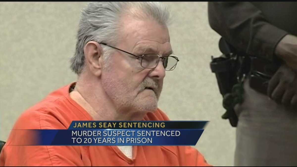 Murder suspect sentenced to 20 years in prison