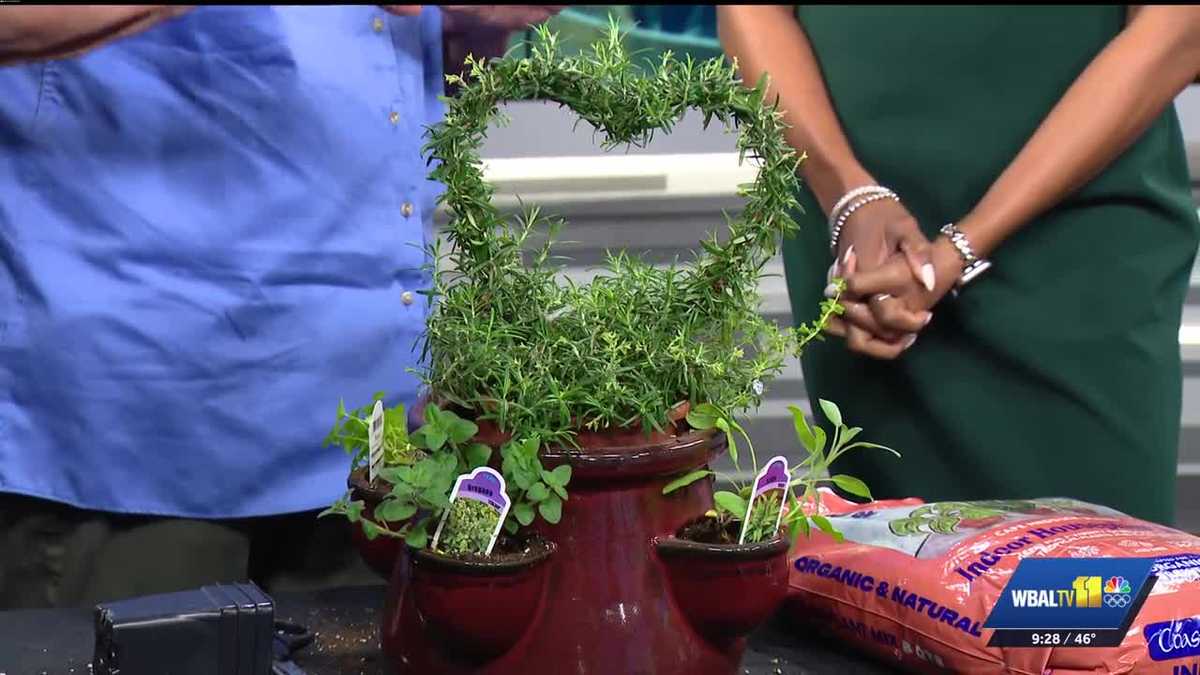 Parsley, sage, rosemary, and thyme: Advice from Valley View Farms on planting an herb garden