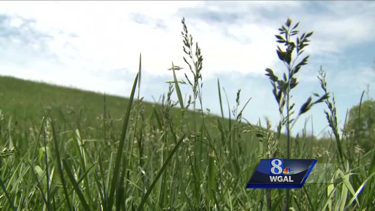 How bad is allergy season this year?