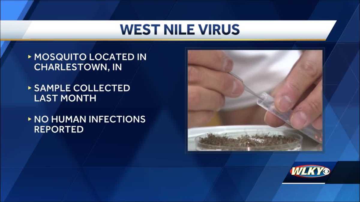 Mosquito sample in southern Indiana community tests positive for West Nile