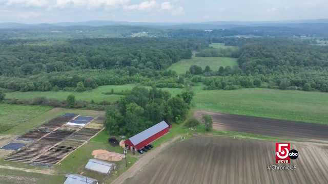 A western Mass. farm provides food aid to the community - Vimarsana News
