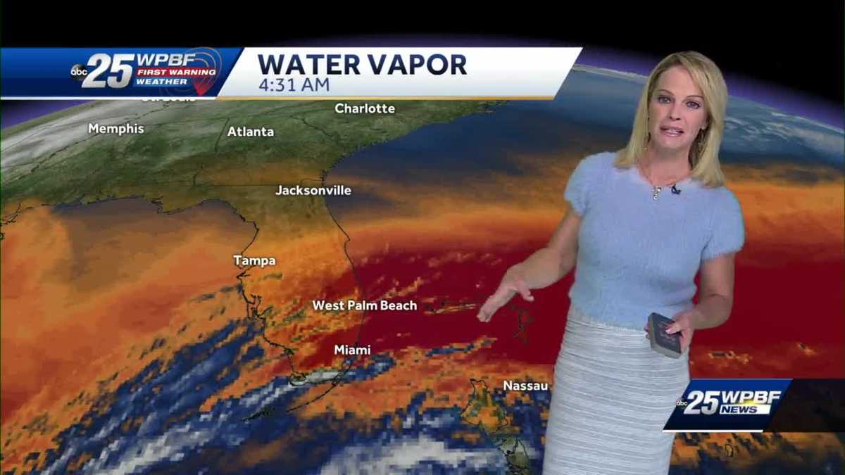 Sunny and Mild for SFL