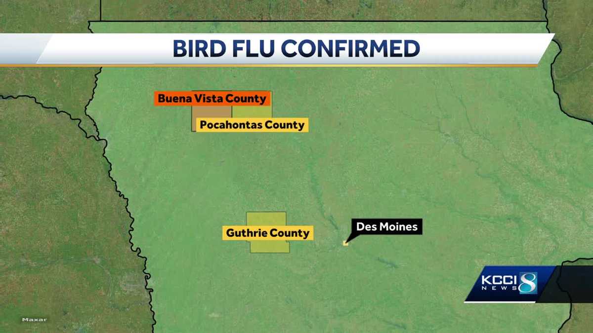 Bird flu cases confirmed in Pocahontas and Guthrie counties