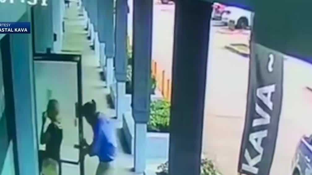 WATCH: Parrot ambushes man, becomes pet of West Palm Beach cafe owners - Vimarsana News