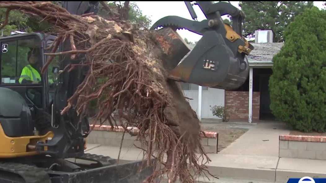 City crews clean up after Tuesday's wind storm