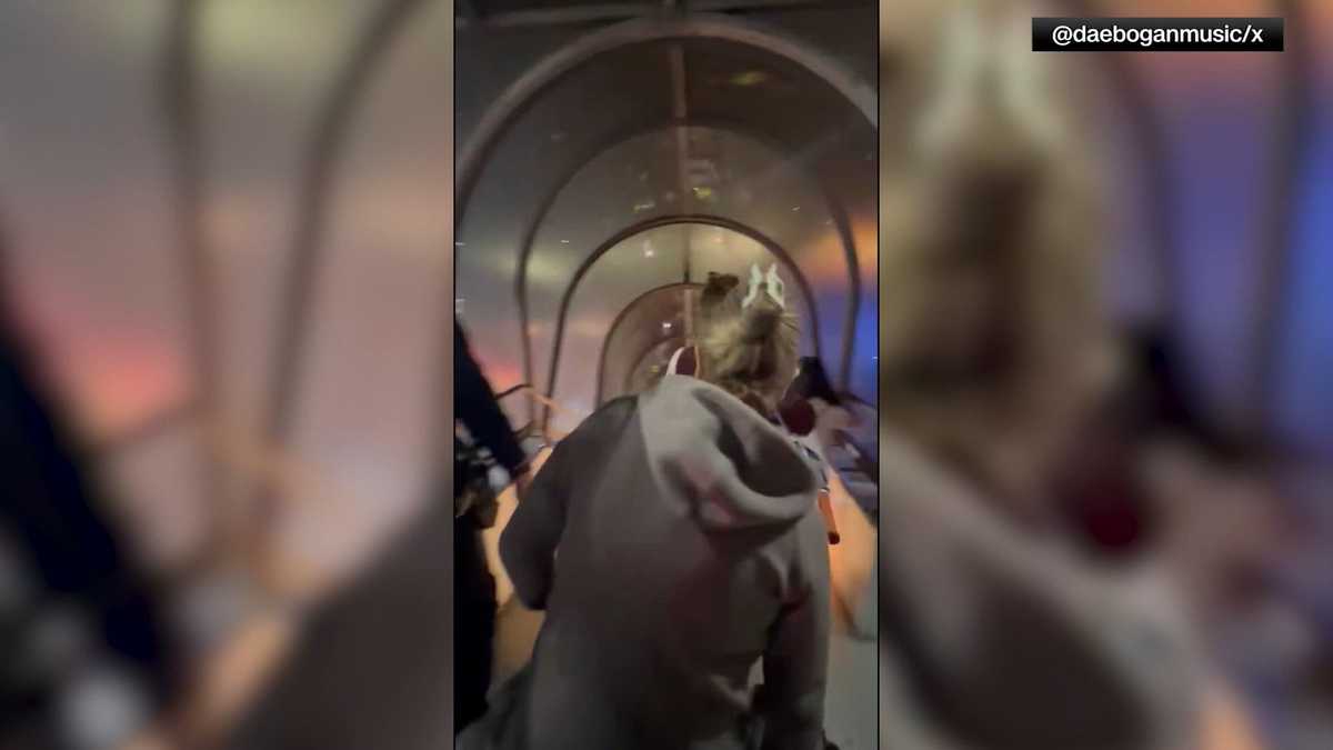 International flight makes uncomfortable landing at Georgia airport after tires blow out