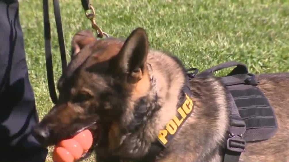 California bill to ban K-9 officer arrests advances in Assembly