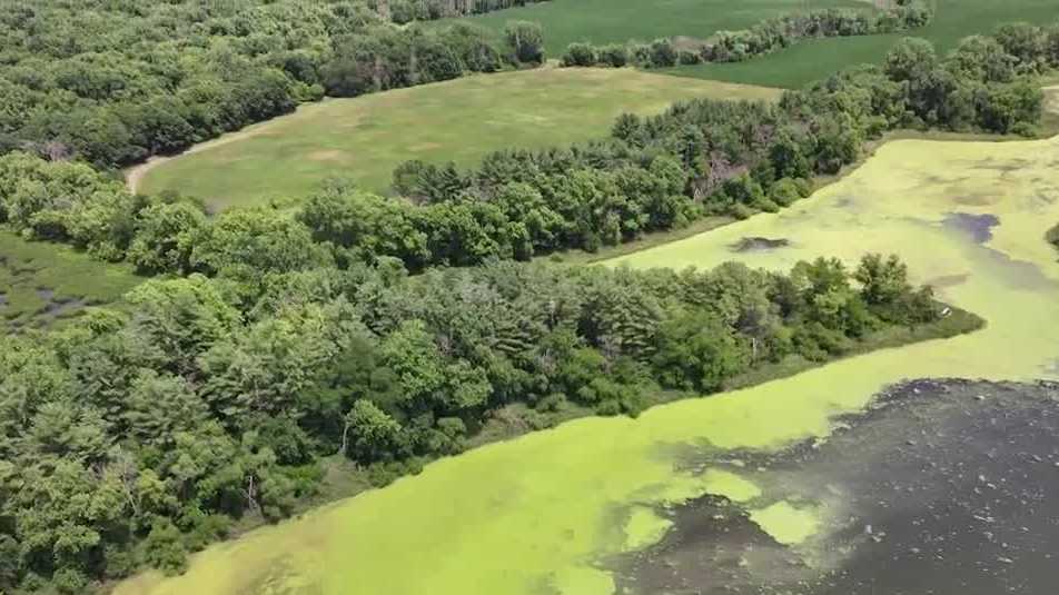 Wetland preservation project underway after Iowa family sells land - Vimarsana News