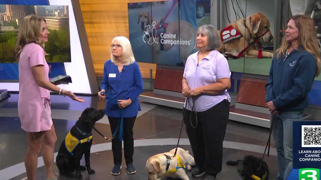 Raise a service dog with Canine Companions