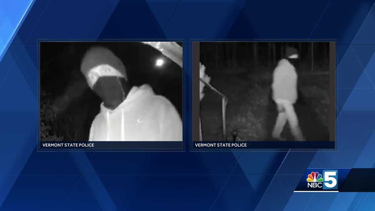 Police investigating series of overnight breakins in Newfane