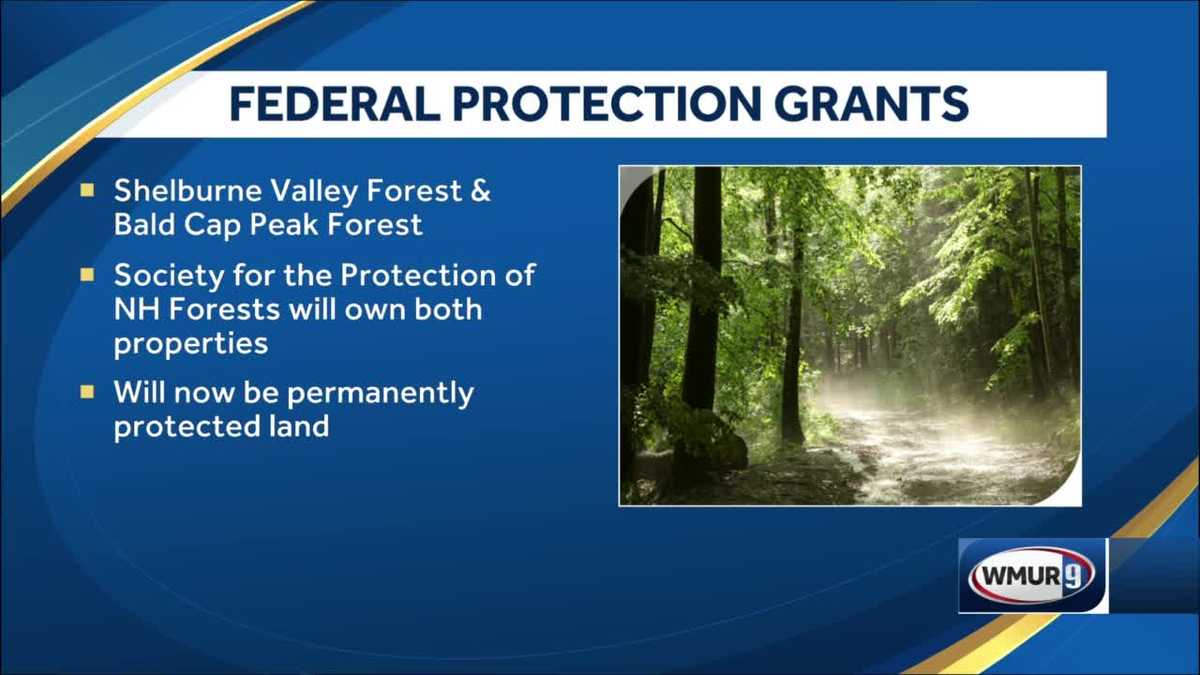 Northern New Hampshire forest gets 500K preservation grant
