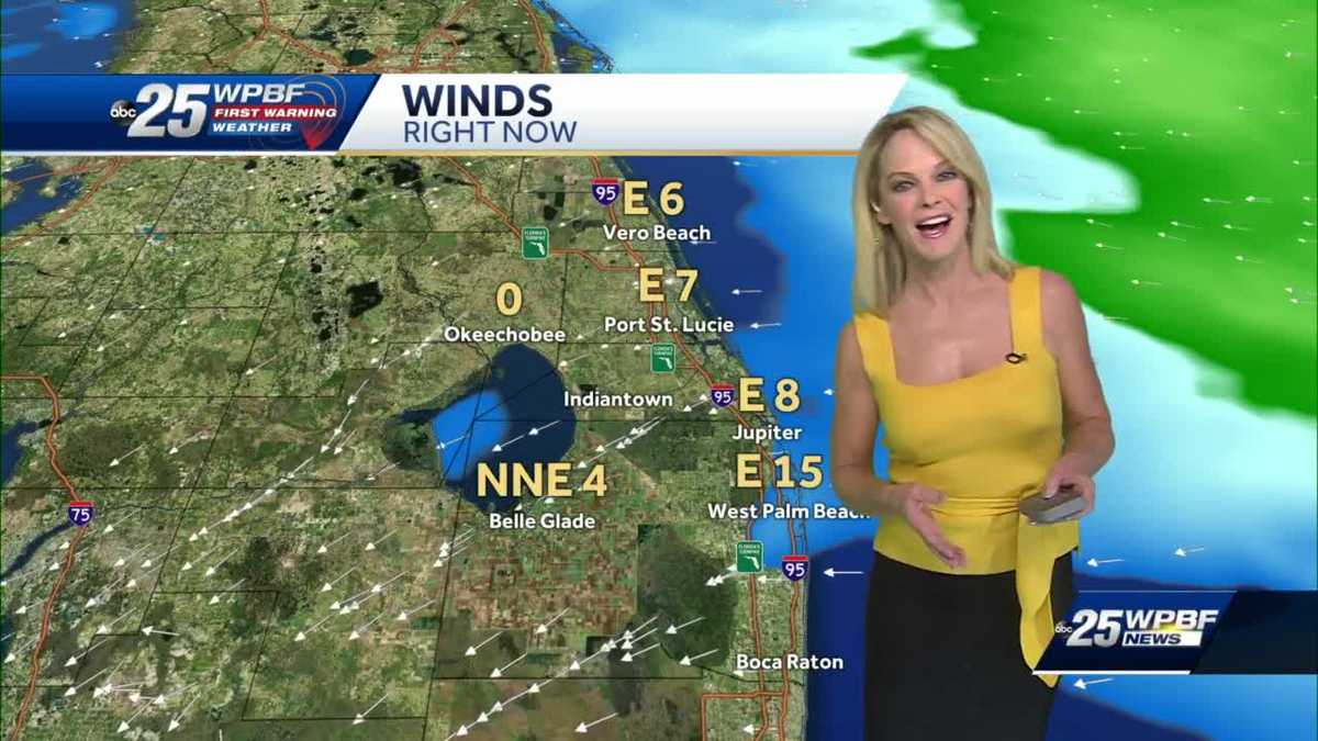 Sunny and Mild for SFL