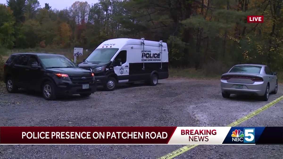 A person of interest in homicide of New Hampshire couple arrested at ...