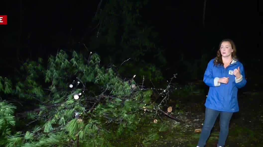 Storm brings down trees, power lines; Several roads closed in central Alabama