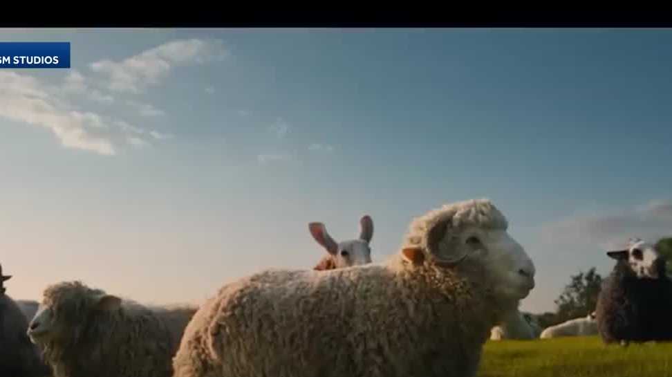 Flicks Picks with Milwaukee Film: The Sheep Detectives