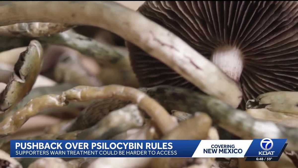 Health department hears concerns over access to medical psilocybin