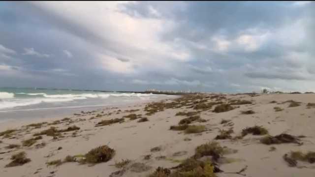 Seaweed blob headed to Florida could be sunken, scientists say - Vimarsana News