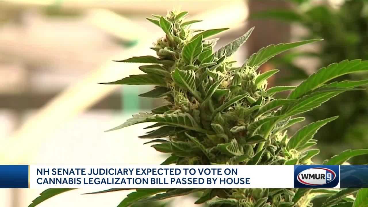 Marijuana Legalization Effort Could Be Hitting Roadblock Again In New ...