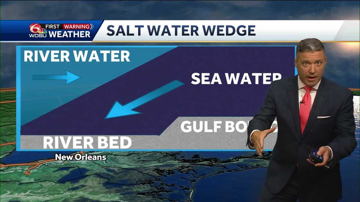 what is a salt wedge why is water from the Gulf moving into the Mississippi