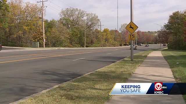 MSHP wants drivers to be prepared for deer season on the roads - Vimarsana News
