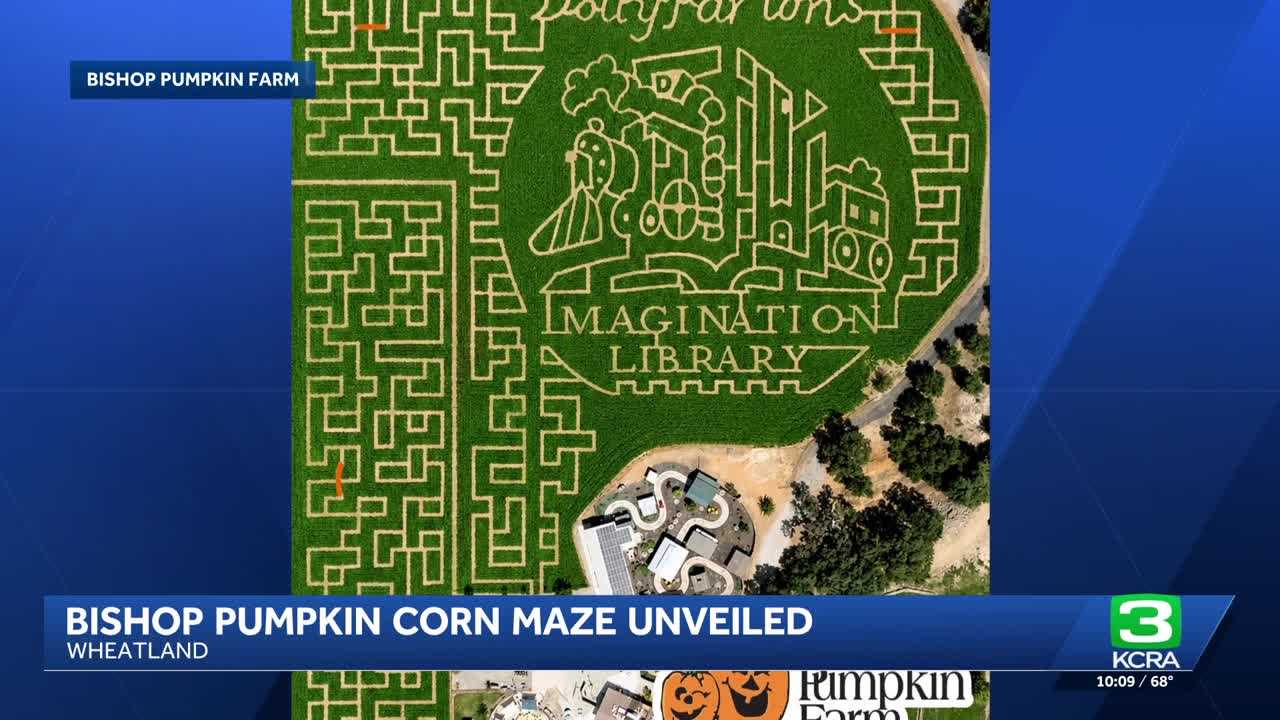 kcra.com - Ron Edens - Corn maze at Bishop's Pumpkin Farm pays tribute to Dolly Parton