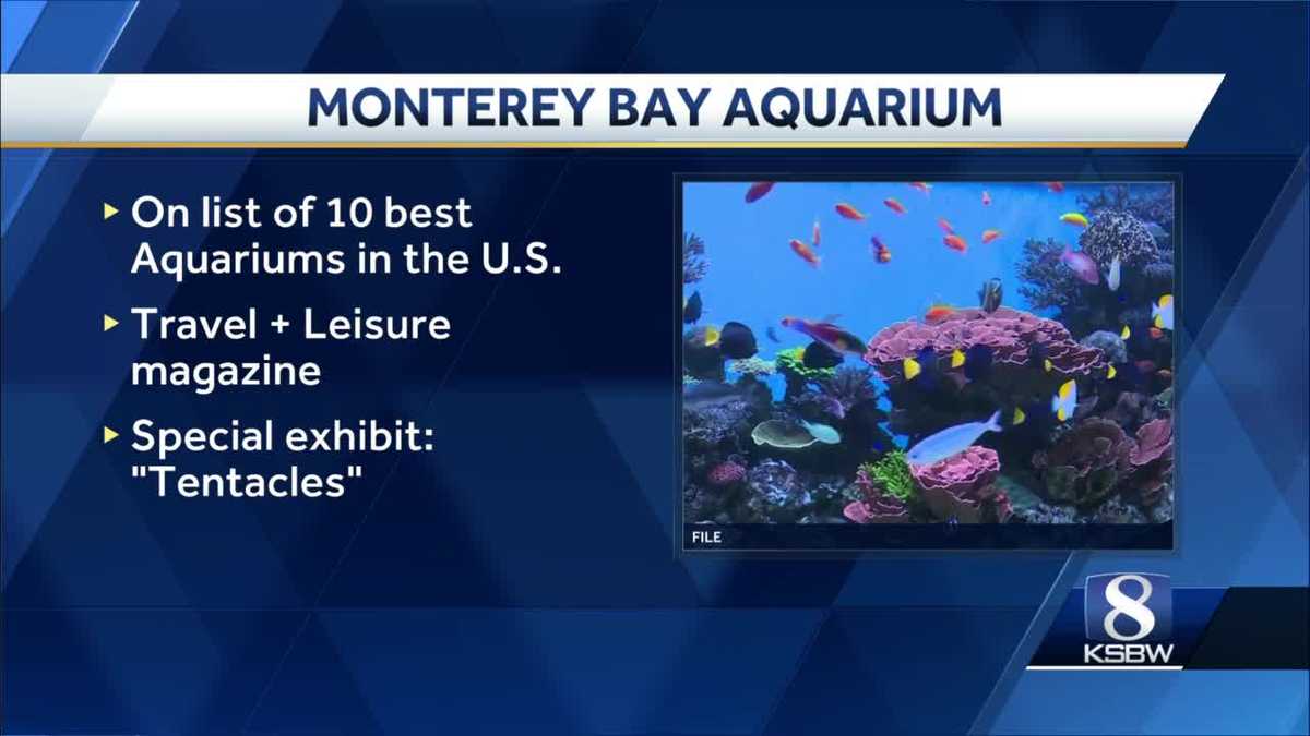 Monterey Bay Aquarium ranks among the top aquariums in the US