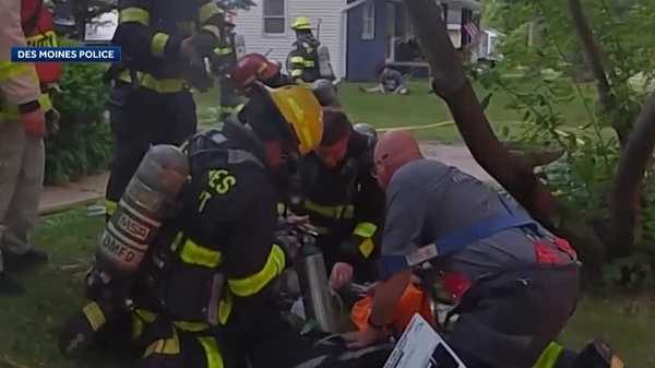 officers rescue dog