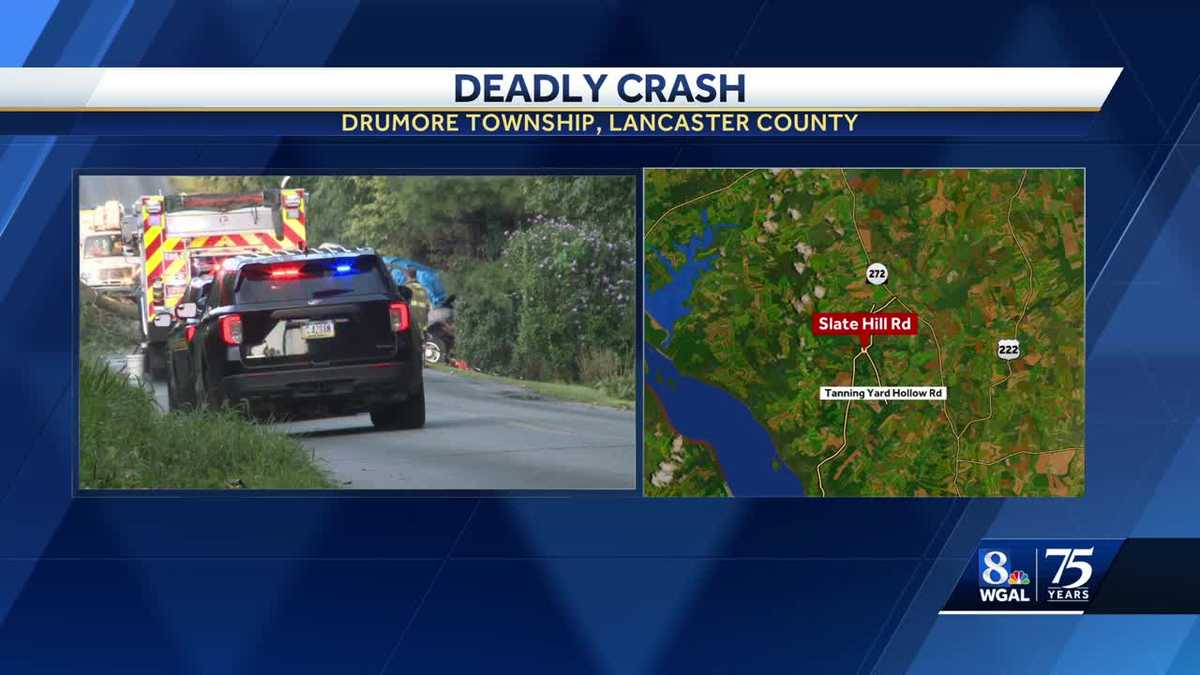 Man dies in fully engulfed van fire after crashing into tree in ...