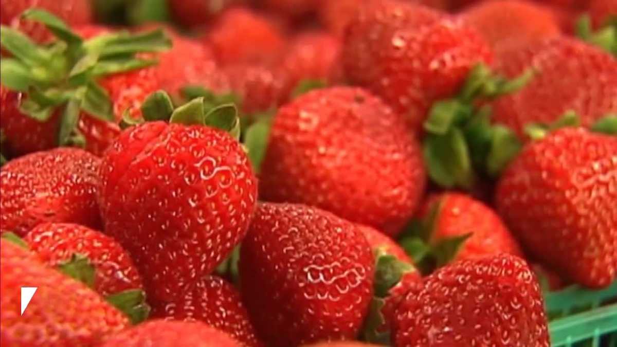 Oklahoma study finds strawberries may lower blood sugar in prediabetes