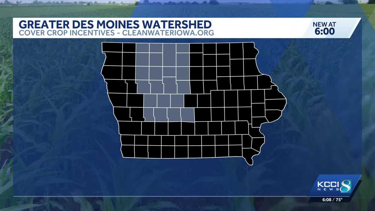 Farmers in 22 Iowa counties can get cover crop incentives in new Des Moines watershed push