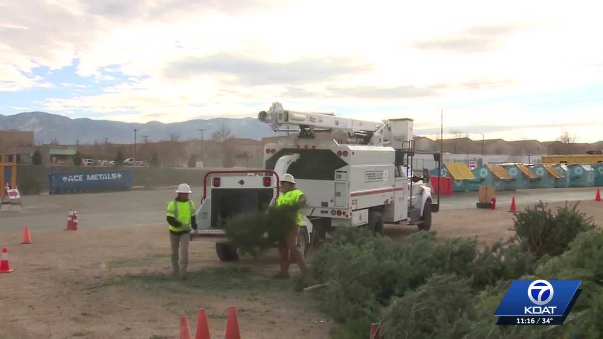 Free Christmas tree recycling offered in Albuquerque and Rio Rancho