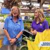 Valley View Farms: Planting for fall temperatures
