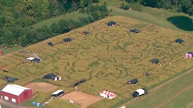 Spooky Kentucky corn maze Field of Screams gets royal design this year - Vimarsana News