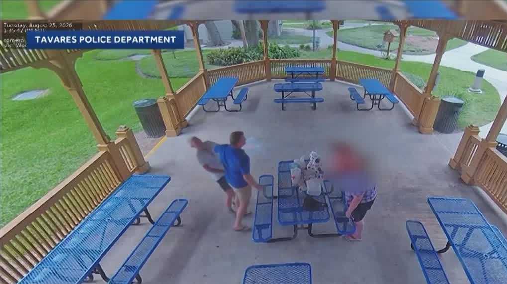 Witness says Mount Dora pastor elbowed man in park after 'blood-curdling screaming'