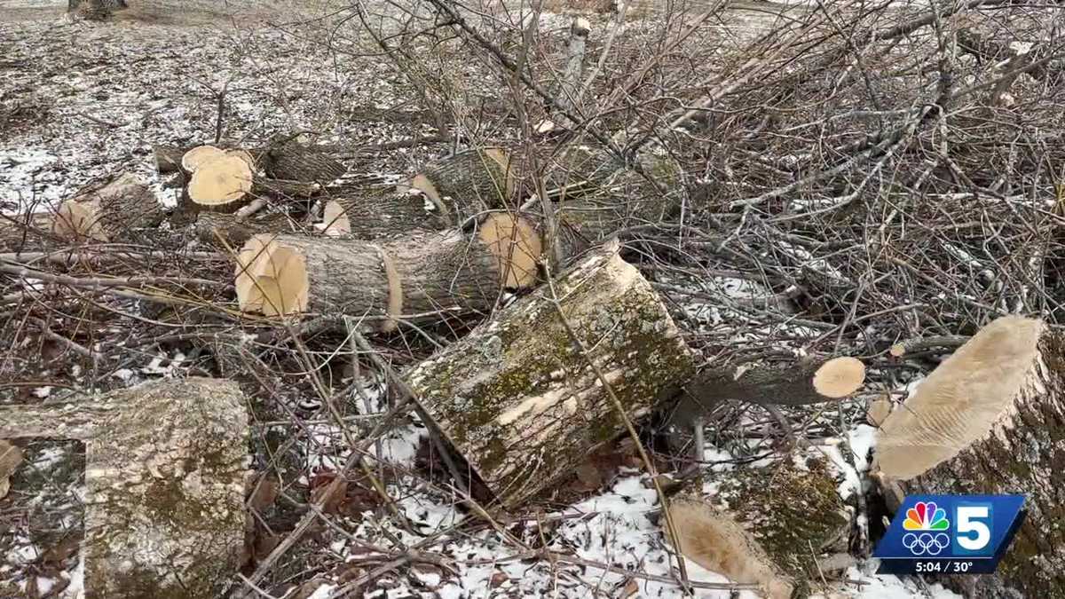 Northern New York experiences freezing rain and strong wind Tuesday, causing many power outages