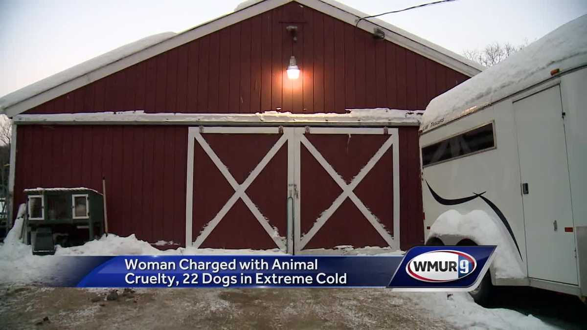 Woman charged with animal cruelty after 22 dogs found in extreme cold