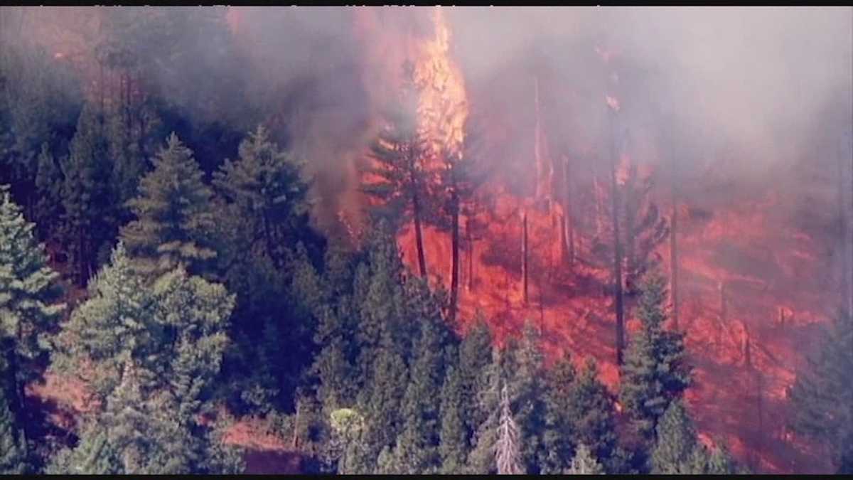Investigators looking into cause of Rim Fire
