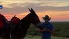 man traveling through oklahoma with mule