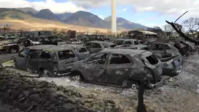 Bare electrical wire in Maui were possible cause of deadly fires - Vimarsana News