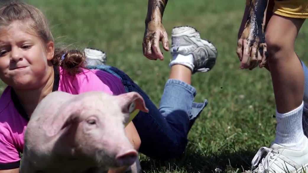 House committee encourages AG commissioner to develop 'best practices' for pig scrambles