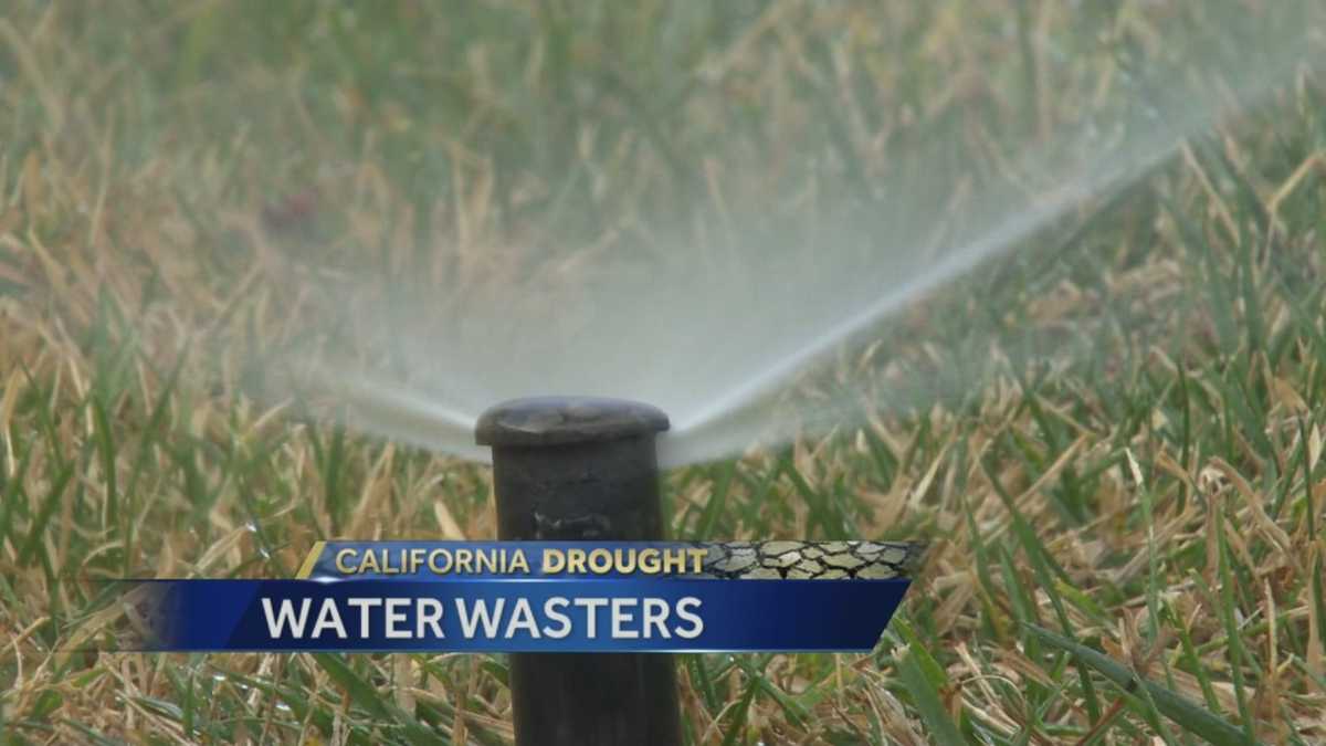 Who reports most Sacramento water waste?